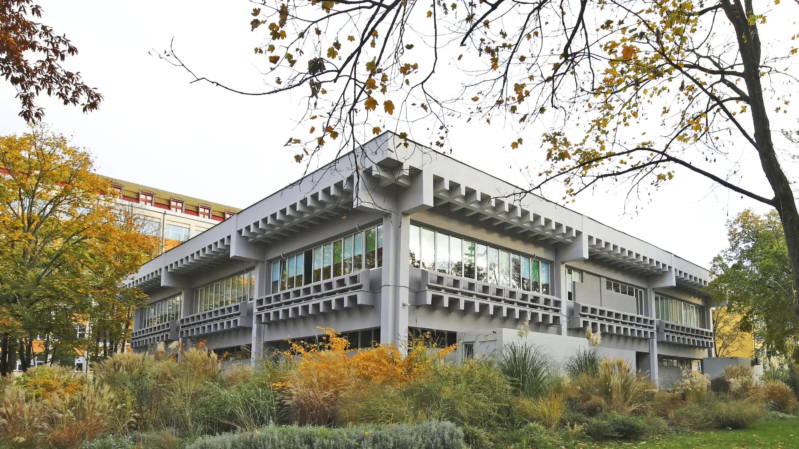 Homepage Hero Section